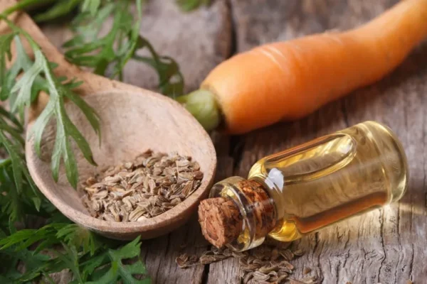 Carrot Oil 1/2 Gallon